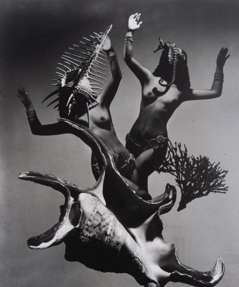 Festival Demon (from portfolio 2010)