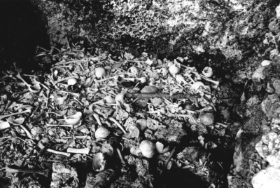 海洋博のため合同墓地を移動させられる 本部浜 元部落