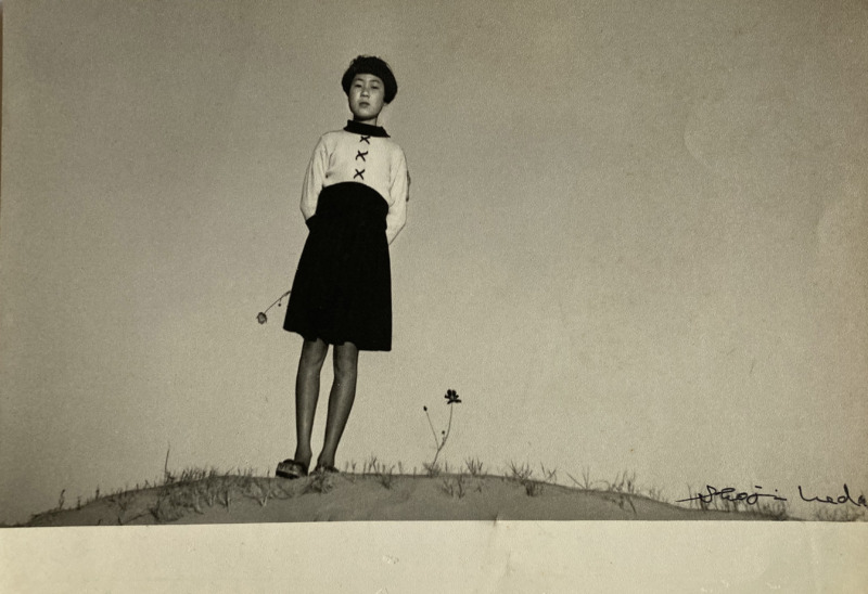 ミワコさんの居る丘