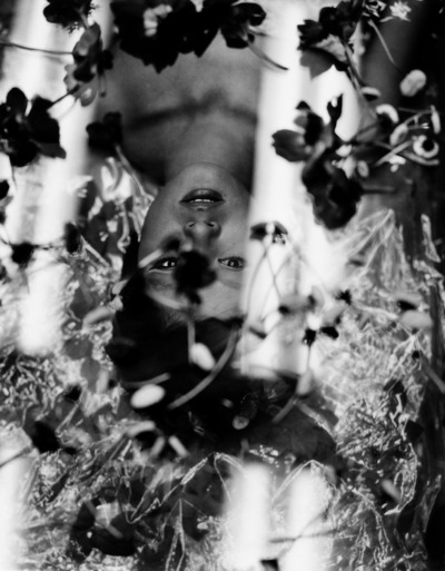 オフェリアその後