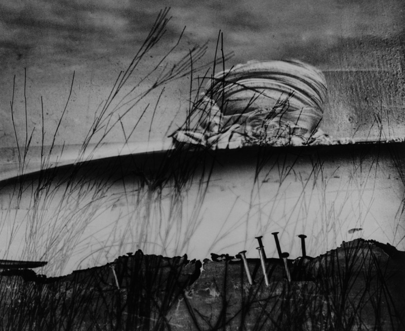 ロバと王様と私　No.5