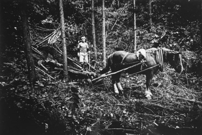 「馬方」宮城石巻