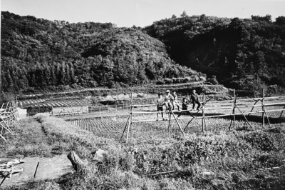 「田舎道」宮城石巻