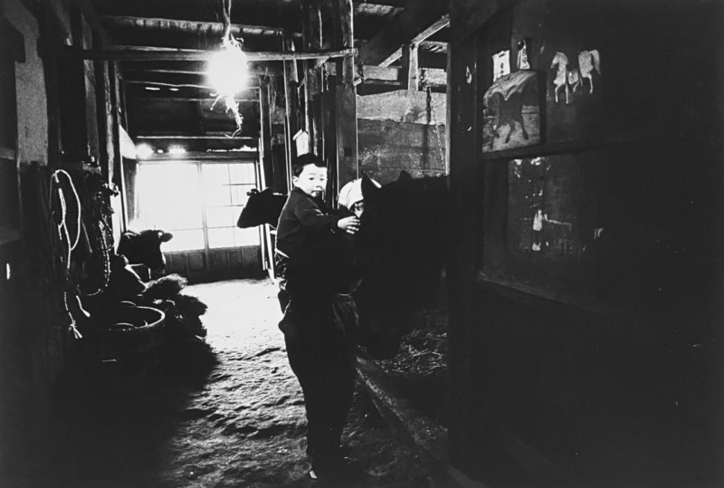 「牛舎」岩手遠野